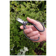 Sentei garden scissors